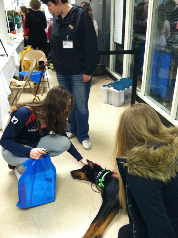 After talking to a Pet Trainer at the Career Expo, Senior Elizabeth Markovic pets one of the trained animals. 