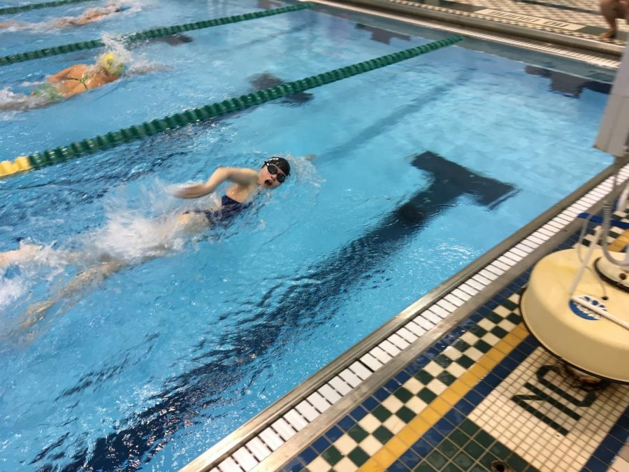 Up against Grosse Pointe North, junior Ava DiNatale swims her freestyle event. “[I felt] anxious and worried that I’m going to drown. Then overall once you get up, you’re just really happy about how well you did,” DiNatale said. She went on to win second place for that event.