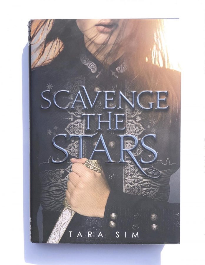 Scavenge+the+Stars+book+review