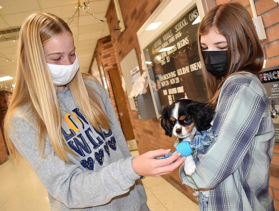 Oxford Middle School students pet Oxford, one of the Oakland County Sheriff’s therapy dogs. ”Therapy dogs provide mental health benefits such as promoting independence, increasing motivation and managing student isolation and loneliness,”  according to fherehab.com. 