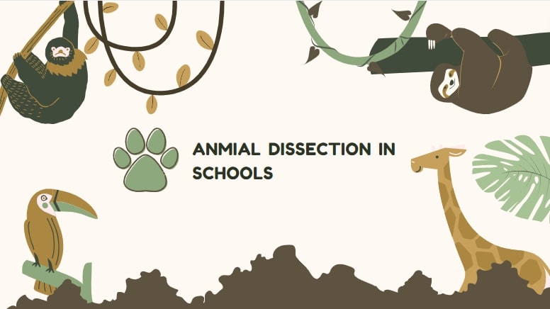 Dissection kills. Dissection of innocent animals remains a common exercise in science classes. With more innovative creations to learn about the anatomy of an animal, students should take a stand against dissection in schools. 

