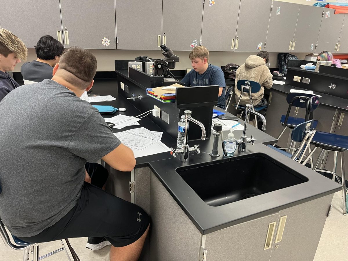 Seniors Claudio Malaj and Jake Megge-Impastato in Kelly Swanson’s analytical chemistry class analyze staff fingerprints. The students had collected the fingerprints earlier that week from staff volunteers. 
