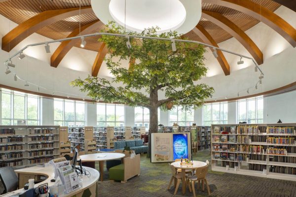Literacy rates in the U.S. are going just about as well as a Texan Snowstorm would. Despite this, only 62% of Americans own a library card, according to pewresearch.org.
