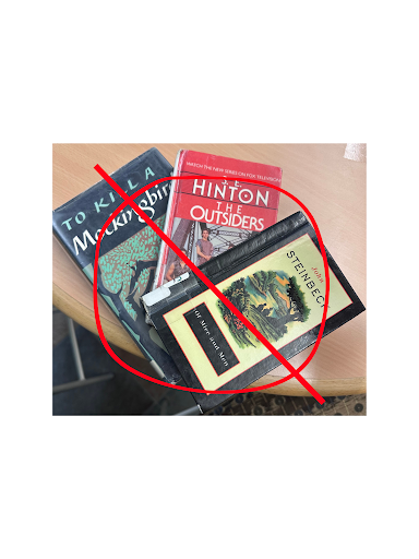 Removing books hinders the opportunity for students to learn about important life lessons.
